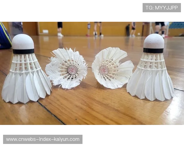 羽毛球平抽对攻：快速到模糊的攻防艺术