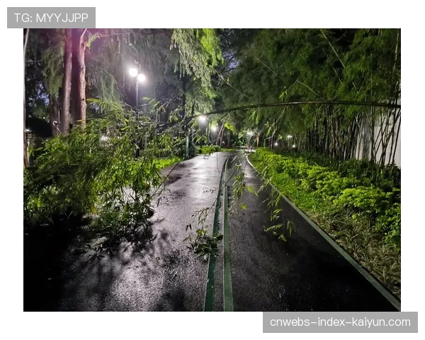 光明网转载新华社：疾风骤雨中三枚历史首金诞生，疾风骤雨还是疾风骤雨